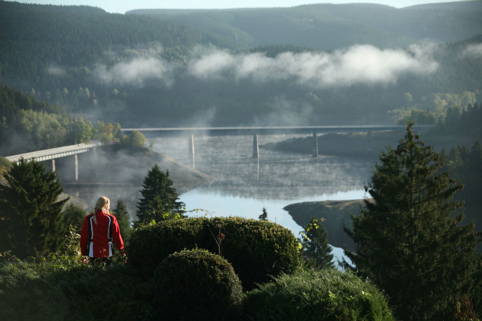 Morgennebel über einem Harzer Stausee, der Pegel steht sichtbar tief. Von solchen Sperren kommt das Trinkwasser für weite Teile Norddeutschlands. Morgennebel über einem Harzer Stausee, der Pegel steht sichtbar tief. Von solchen Sperren kommt das Trinkwasser für weite Teile Norddeutschlands.