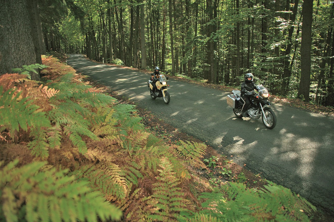 Zwei Motorräder auf einem schmalen Teerweg durch dichten Wald Zwei Motorräder auf einem schmalen Teerweg durch dichten Wald
